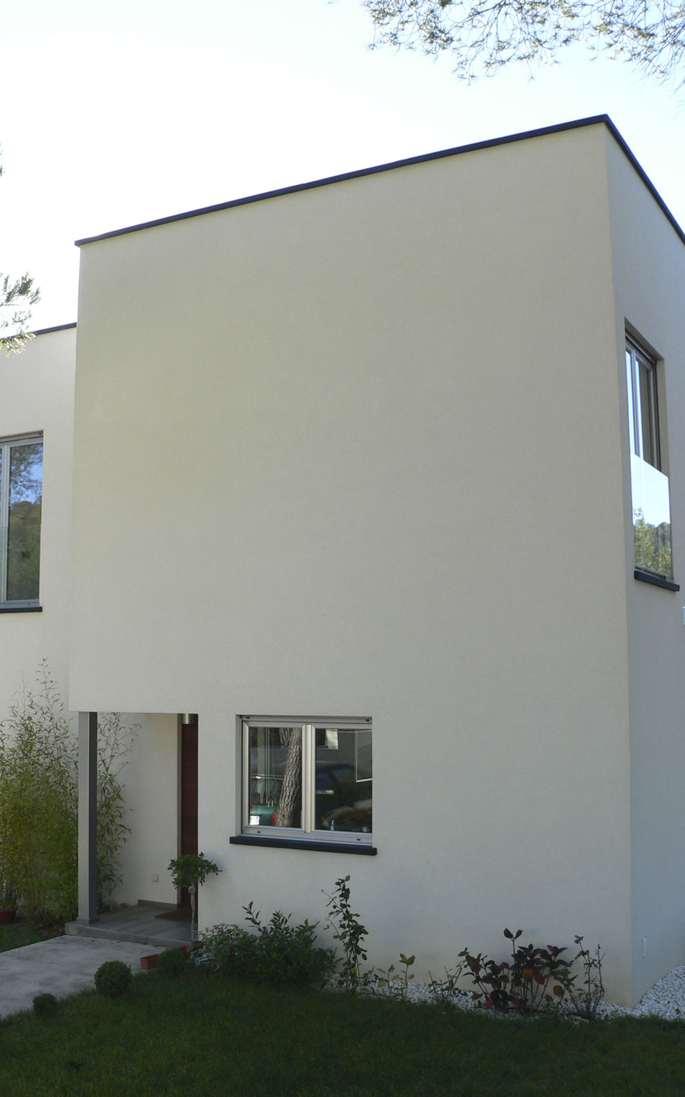 olivella cs 1