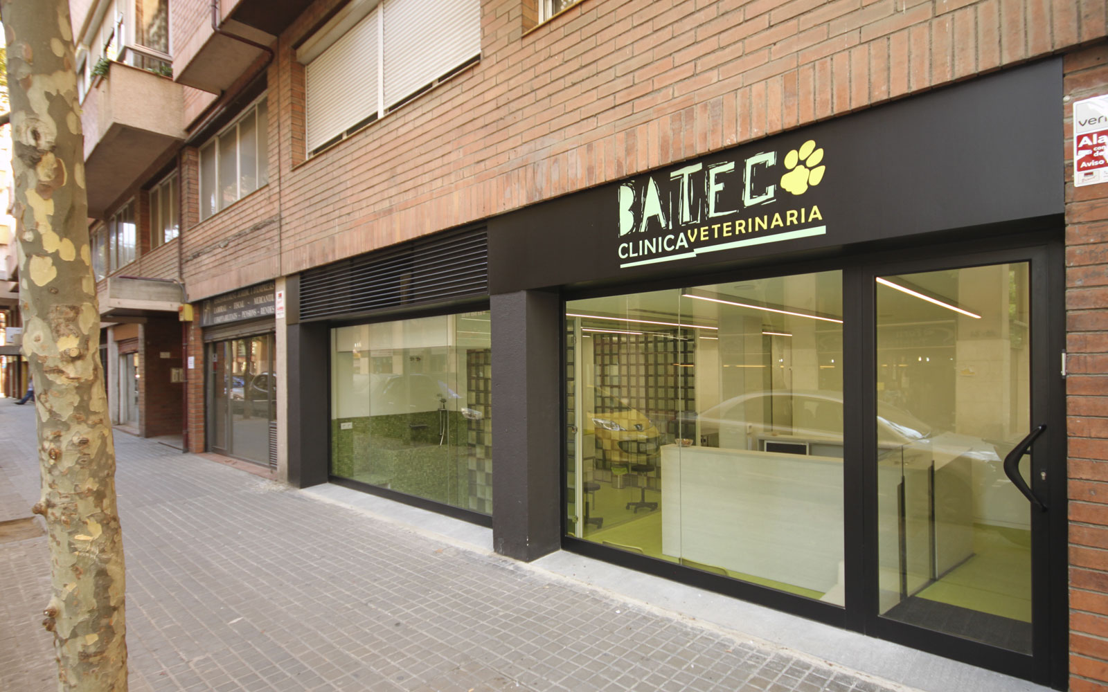 batec clinica veterinaria 1